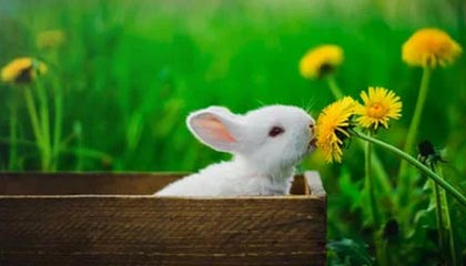 b体育官方网站-上海男篮迎来新主教练，战术大调整，上海男篮最新主教练