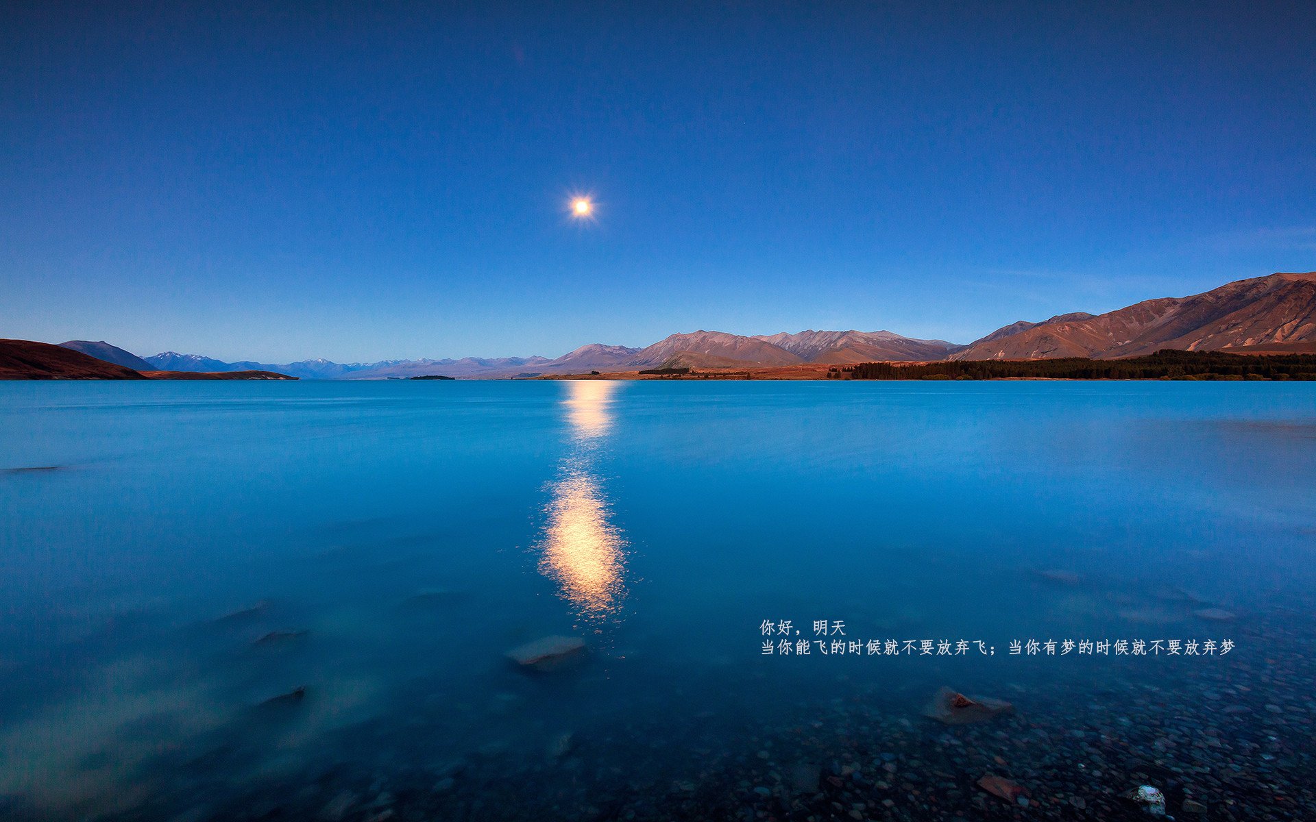 _凯尔特人稳扎稳打,赢得关键一战_,凯尔特人比赛集锦