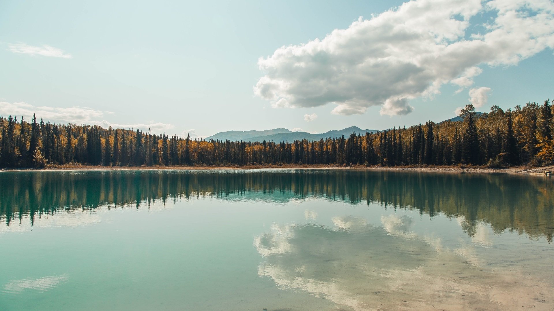 “基层青训高速推进,基层足球蹿升新高度”,青年基层锻炼