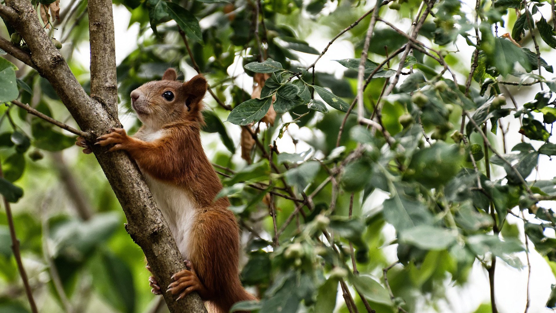 “基层青训高速推进,基层足球蹿升新高度”,青年基层锻炼