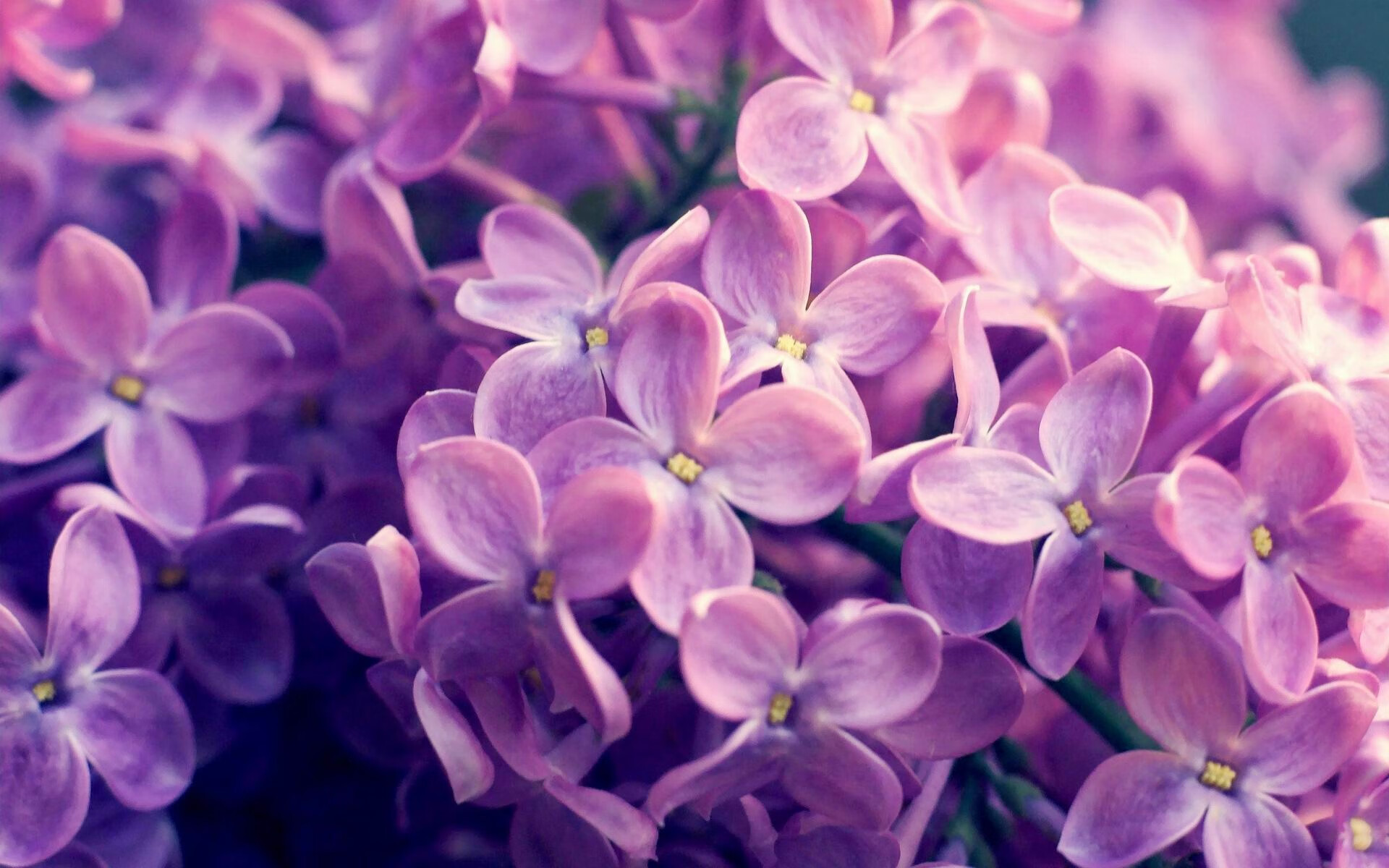 b体育(sports)官方网站-“西甲明星表现出色，球队追逐胜利”，西甲明星都有哪些