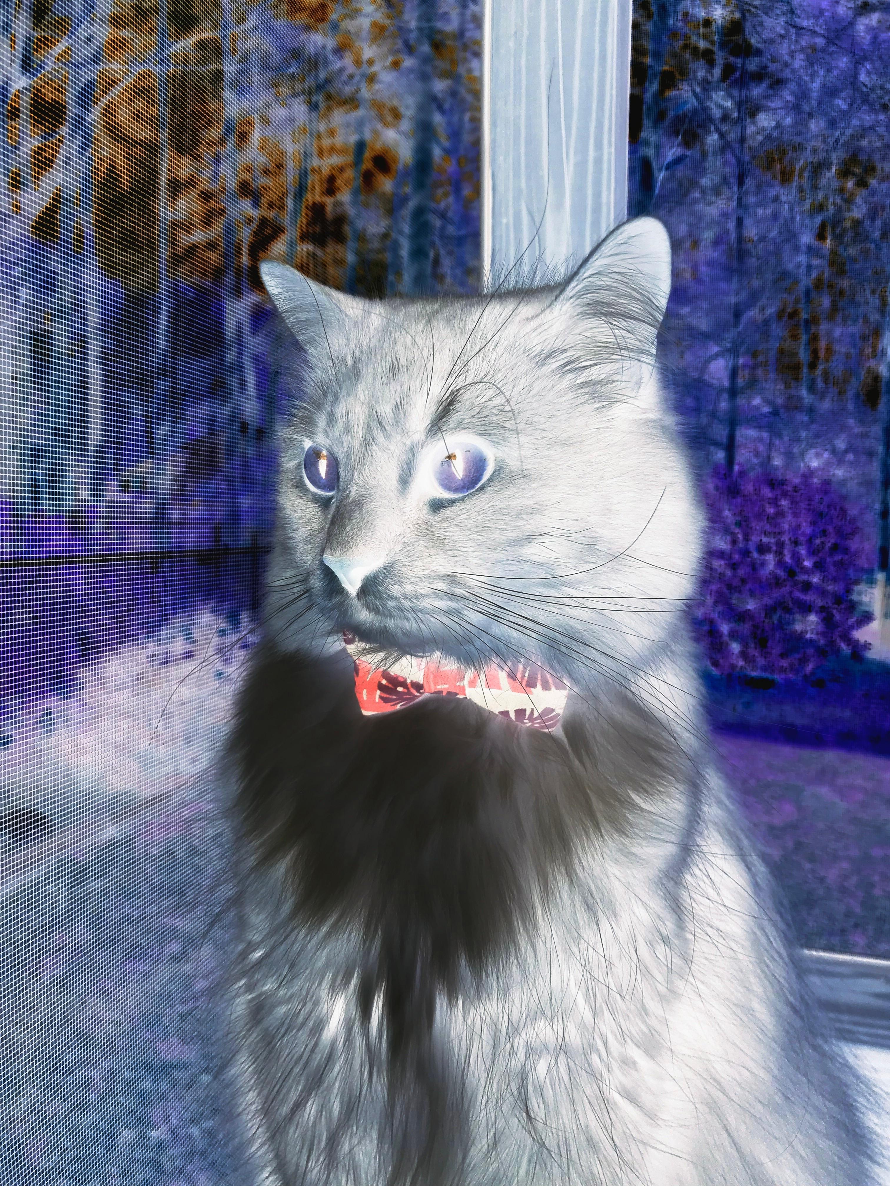 “西甲赛场:明星纷纷展露锋芒,比赛精彩纷呈”,西甲明星都有哪些