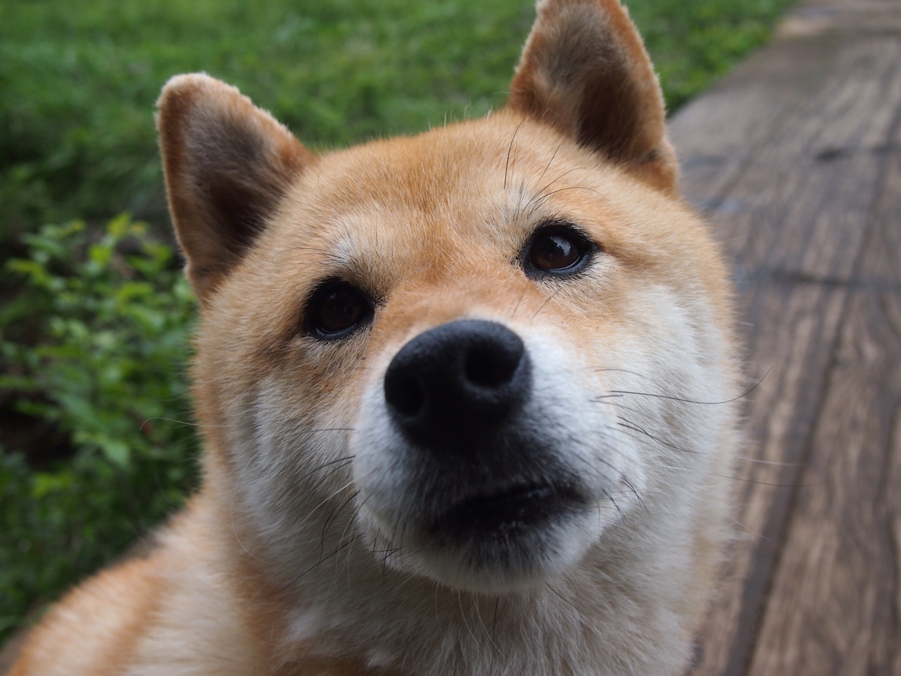 以“篮球+公益”为主题的全民运动日正式启动，篮球全民健身