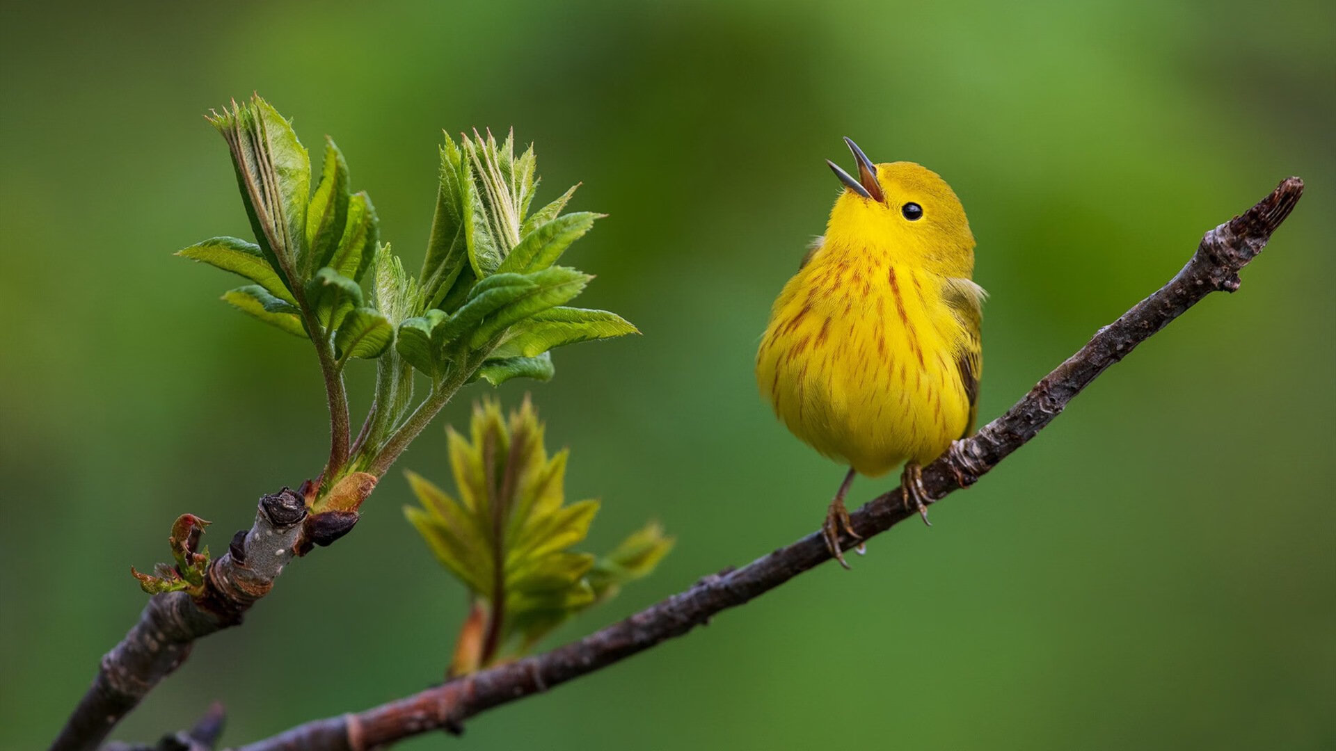 B体育亚洲官方网站-国足主场迁至成都气氛火爆，国足拍成