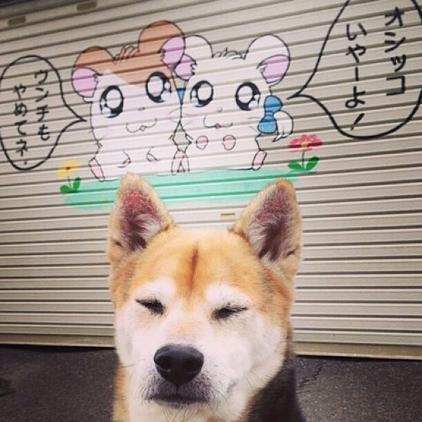 BSPORT 官网-巴萨控球占优，逐步蚕食对手防线，巴萨控球率98