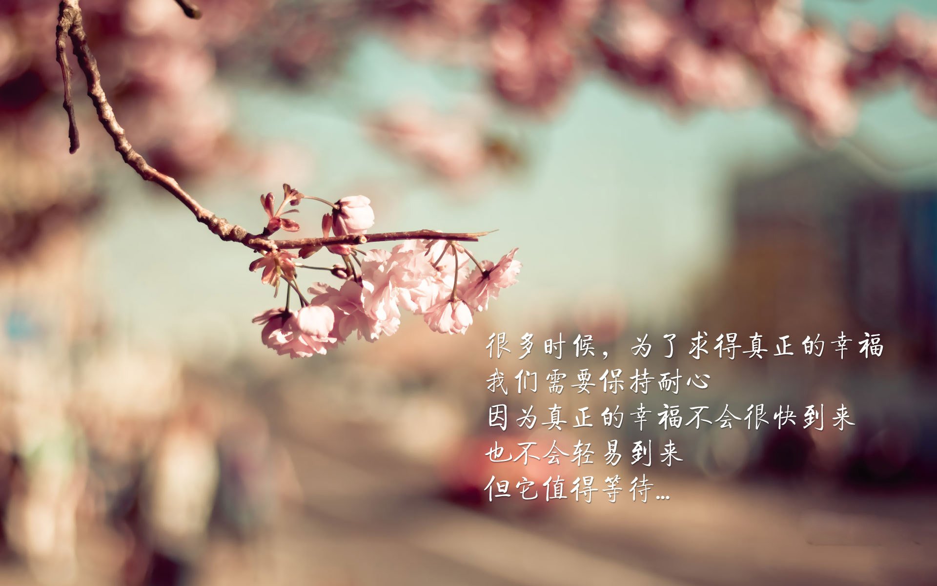 b体育入口-篮球职业联赛商业价值稳步攀升，篮球职业联赛是什么意思