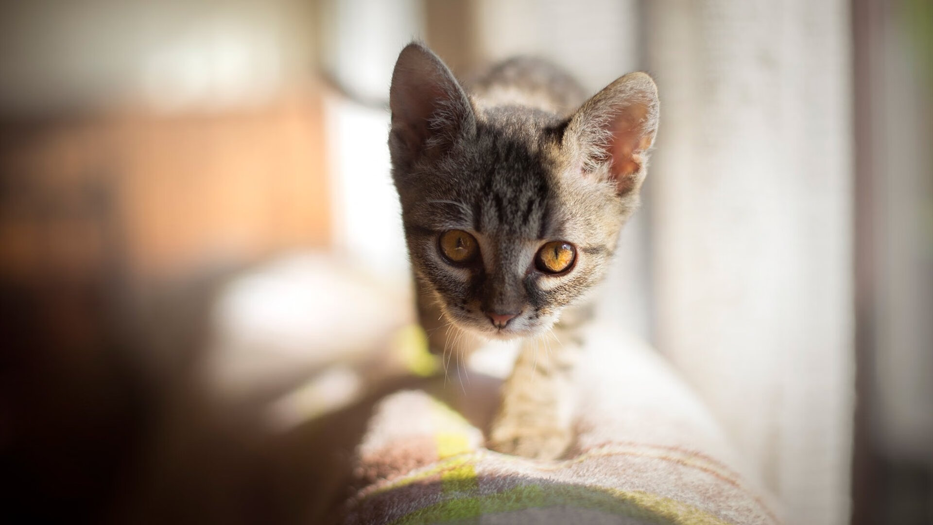 英超底部球队奋起直追，保级大战白热化，英超最低保级分