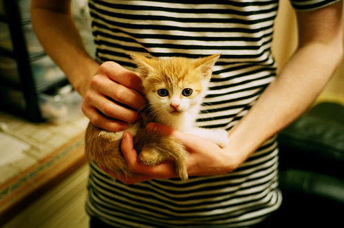 BSPORT APP-AC米兰主场战胜拉齐奥，保持不败，ac米兰vs拉齐奥大名单