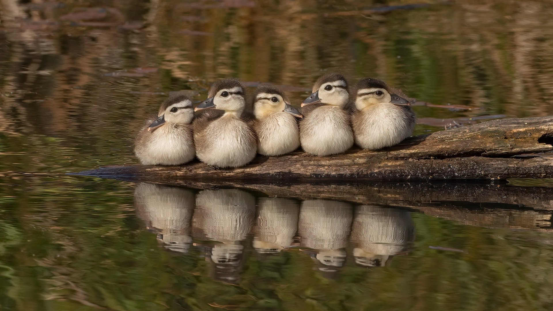 b体育在线平台-中国男足在巴黎奥运会上展示了高水平的比赛状态，中国男足在奥运会上的成绩