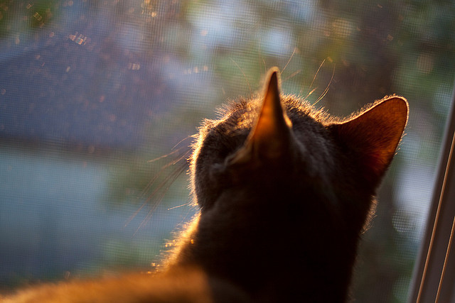 b体育app-国际米兰客场战平那不勒斯，防守坚若磐石刮回一分，那不勒斯国际米兰比分