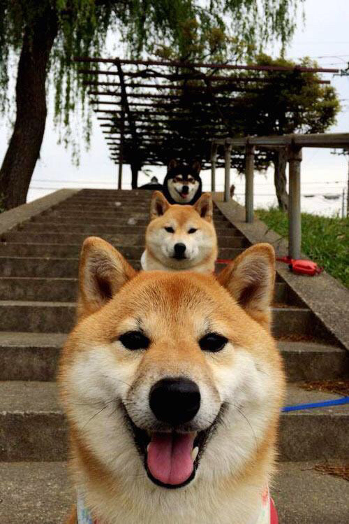 巴列卡诺客场落败，需要强化防守，巴列卡诺青训