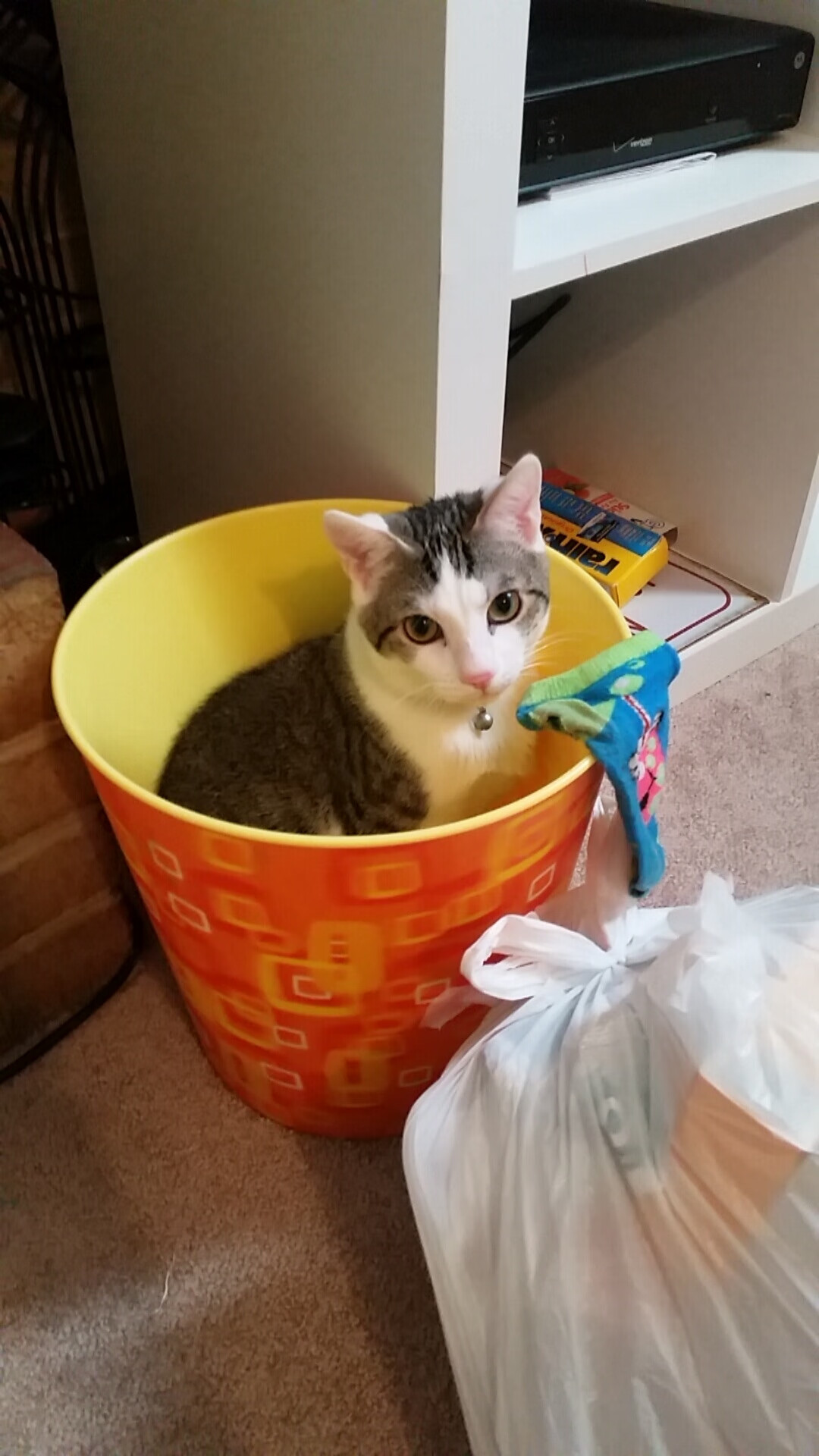 巴利亚多利德凭借制胜球豪取胜利，球队士气大振，西甲巴利亚多利德