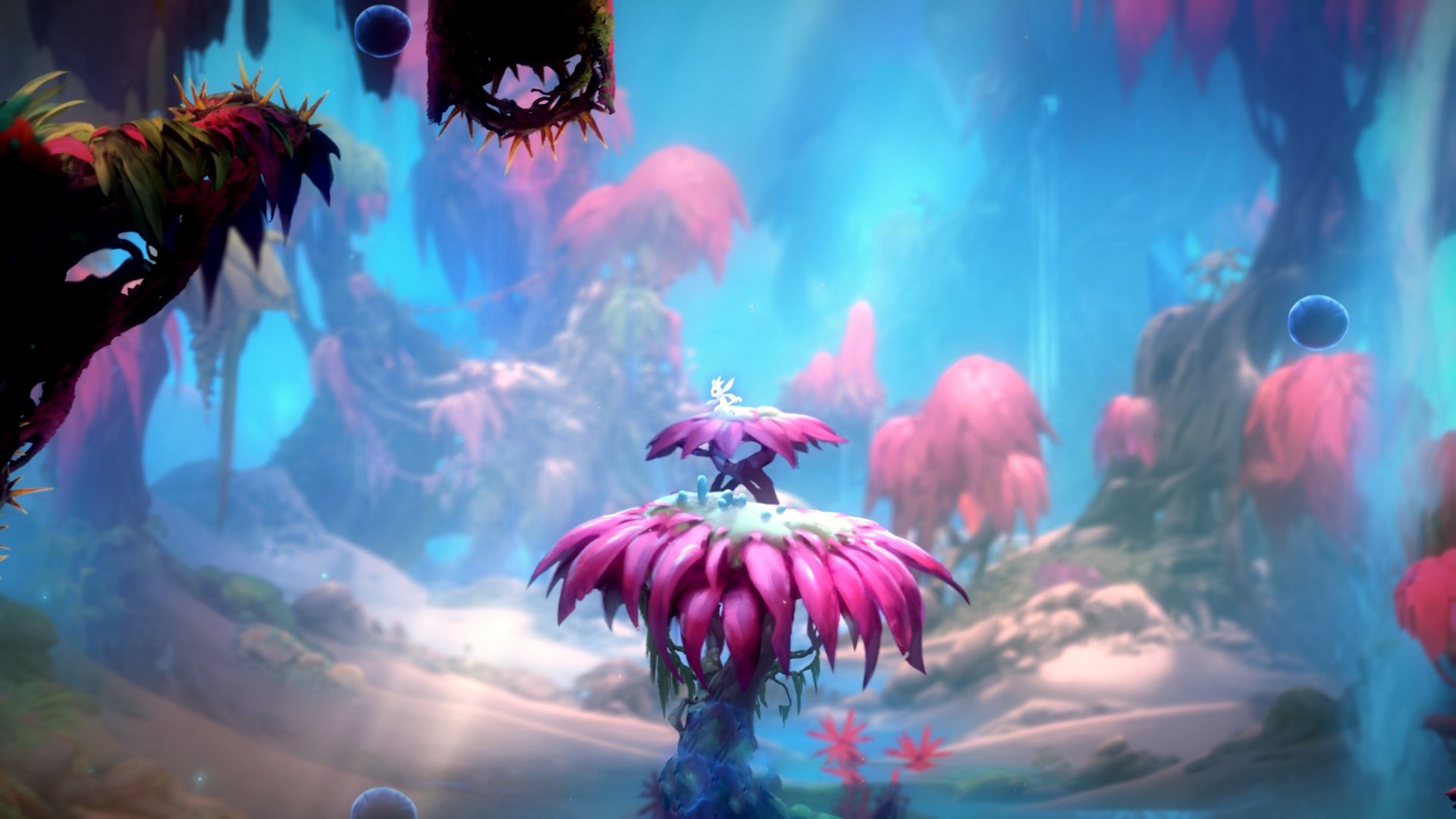 b体育网页版登录入口-阿根廷队主场战胜荷兰队获得友谊赛胜利，阿根廷队主场战胜荷兰队获得友谊赛胜利的球队