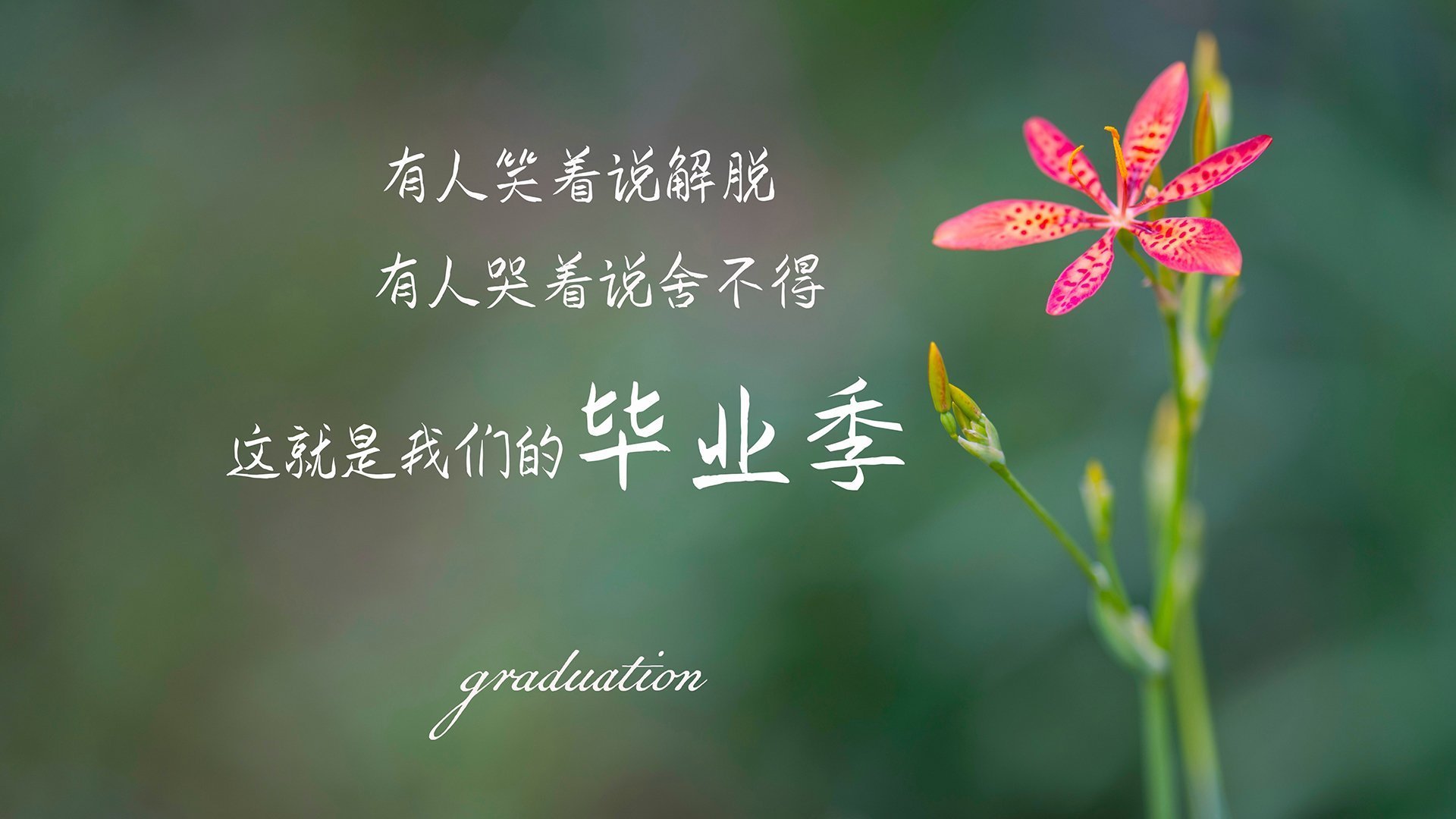 中小学体育教师教学效果评估体系构建,中小学体育工作评估指标体系表范文