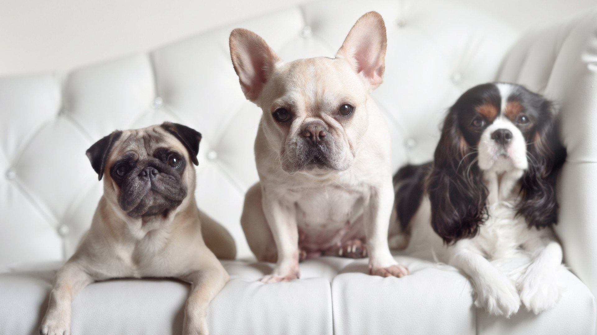 体育心理干预在青少年训练中的应用,体育训练种心理问题案例