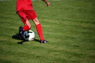 b体育直播-篮球运动员心理健康维护服务体系研究，篮球心理技能训练计划