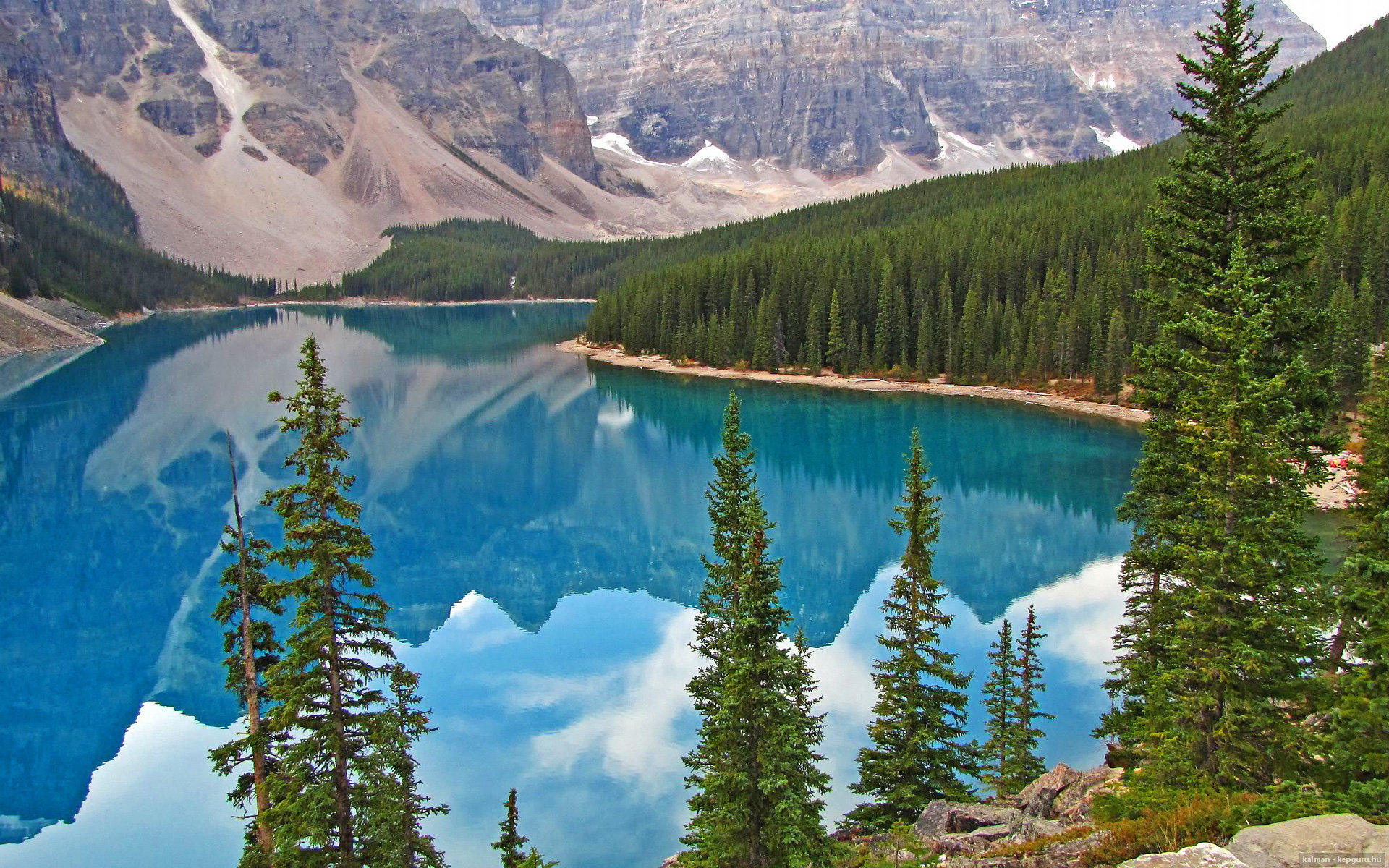 多面手角色让战术更具弹性,多面手的图片