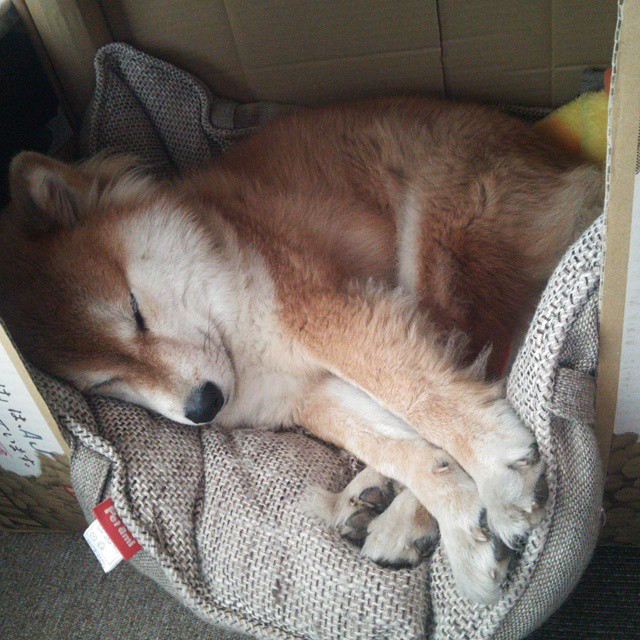 数据平台分析球员表现促进科学决策,球员数据分析软件