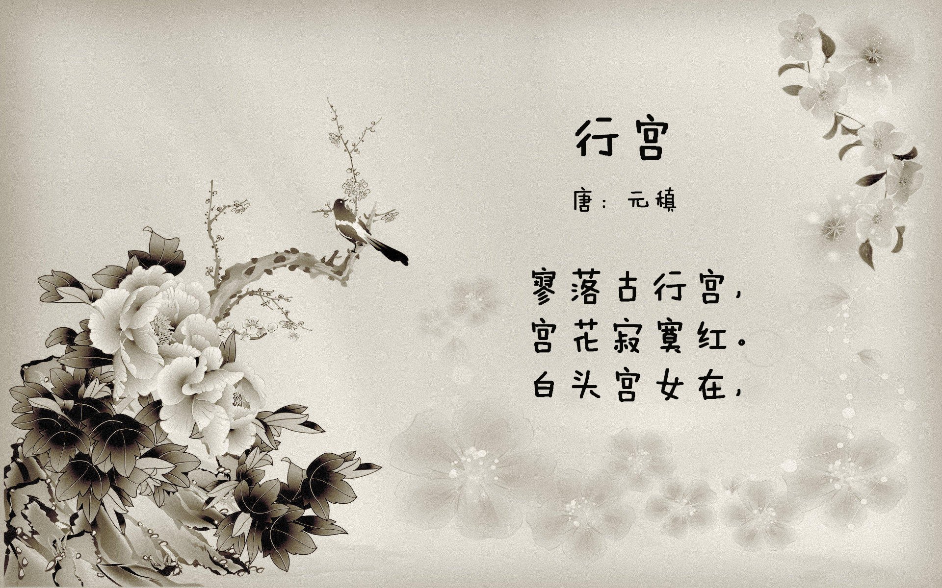 男泳新星闪耀国际舞台,男子泳装表演