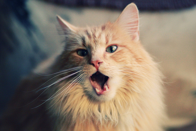 b体育网站注册-边路传球模式是否因防线密度逐渐趋同，边线球回传守门员