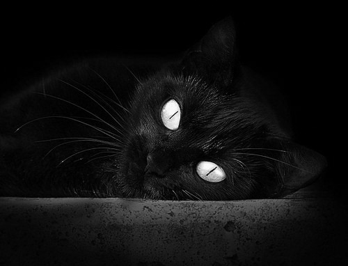 足球产业链延伸推动足球培训器材市场快速发展,足球器材公司