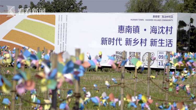 关于B体育：从故乡到赛场：运动员与地方文化的关系的信息